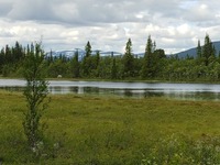 Orrtjärn med Härjångsfjällen i bakgrunden